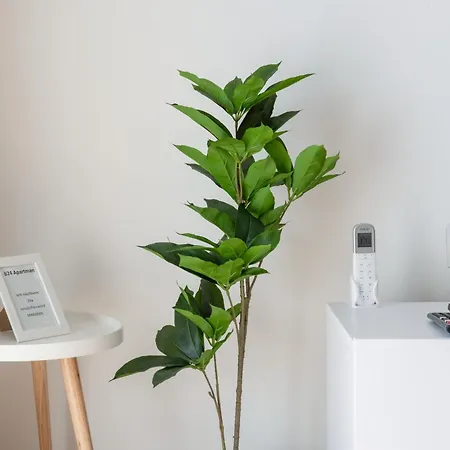 Myflat Club 218 Gold Ii Wellness Appartement